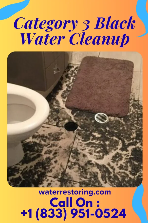 Category 3 Black Water Cleanup in Red Oak, IA