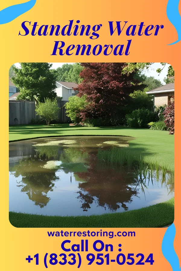 Standing Water Removal in Red Oak, IA